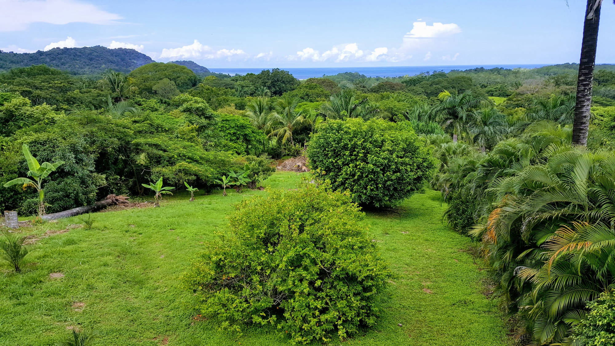 Casita Amarilla garden view